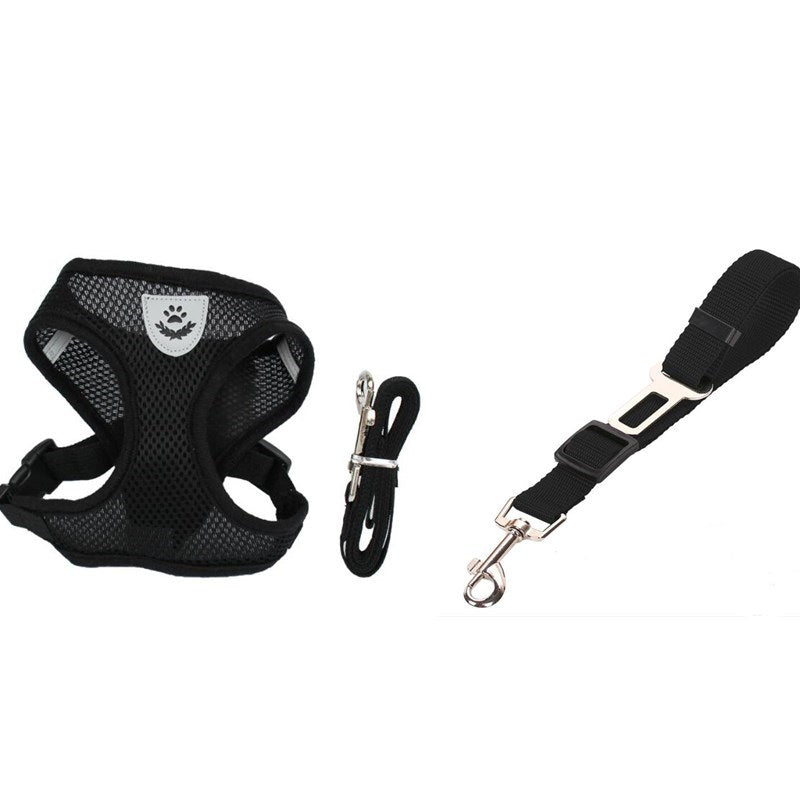 Pet Car Seat Belt Leash