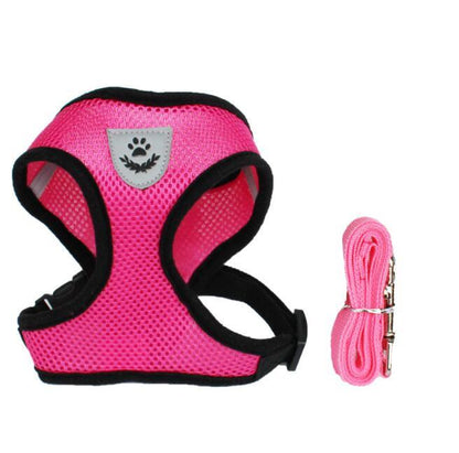 Pet Car Seat Belt Leash