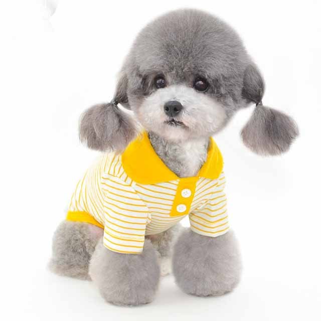 Pets Striped polo shirt Clothes