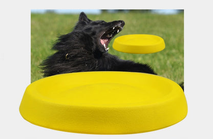 Pet Dogs Throwing Plastic Toy