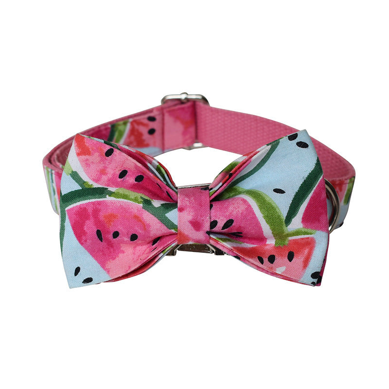 Pet Watermelon Supplies Collar Leash