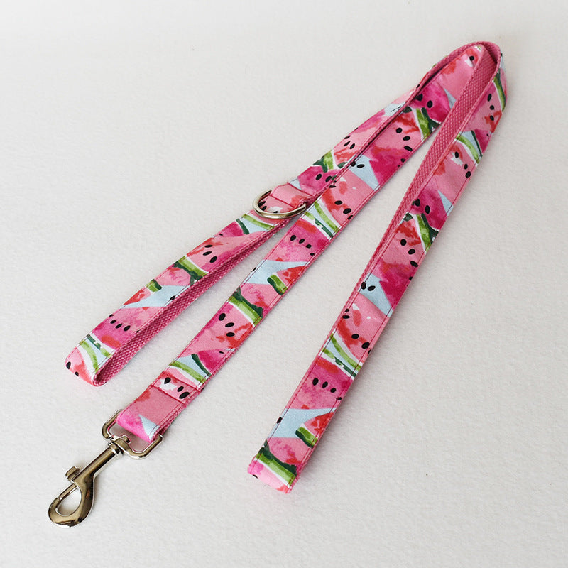 Pet Watermelon Supplies Collar Leash