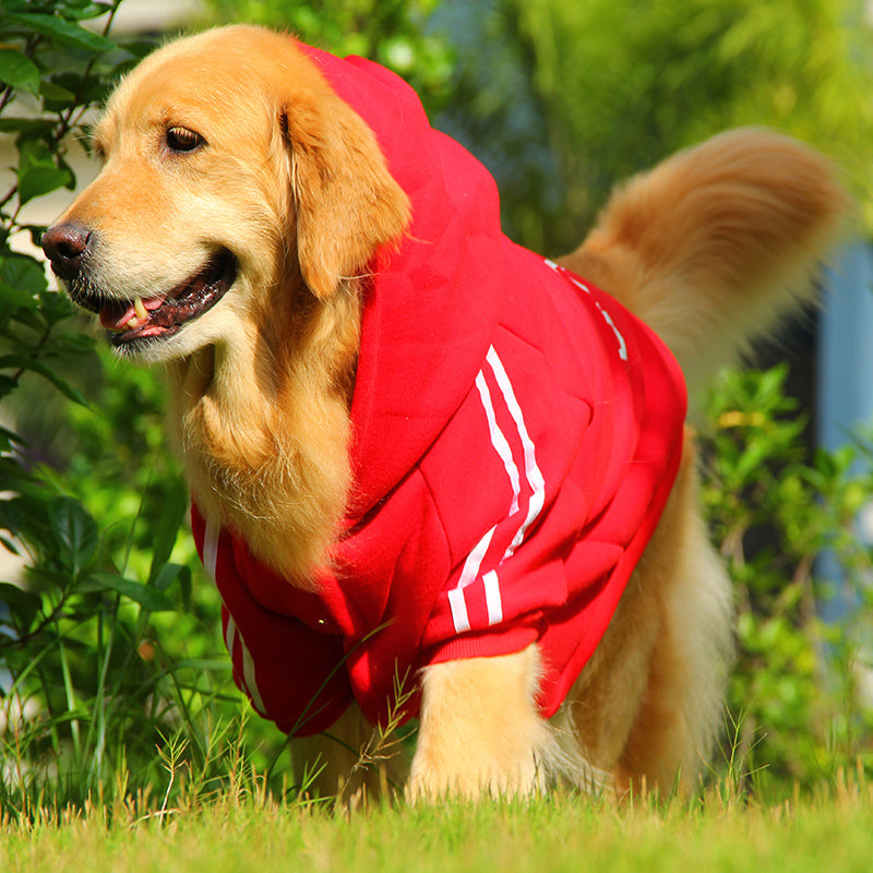 Pet  Cotton-padded Clothes