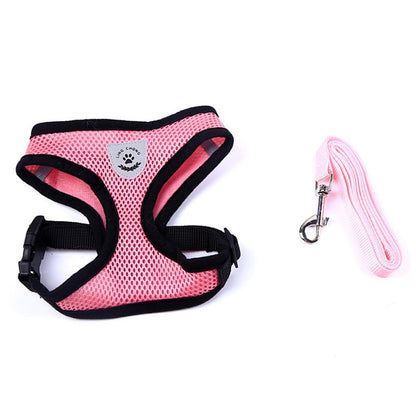 Pet Car Seat Belt Leash