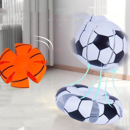 Pet Outdoor Elastic Step Ball Magic Toy