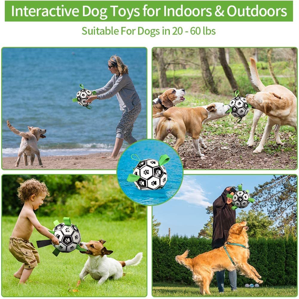 Dog Interactive Football Grab Toy