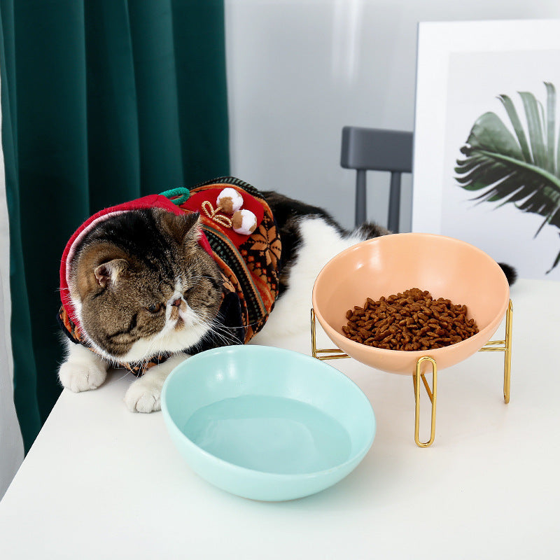 Pet Ceramic Bowl