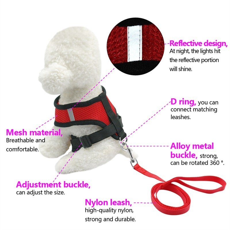 Pet Car Seat Belt Leash