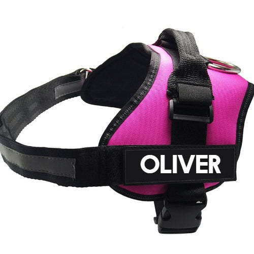 Dog Supplies Chest Harness Leash