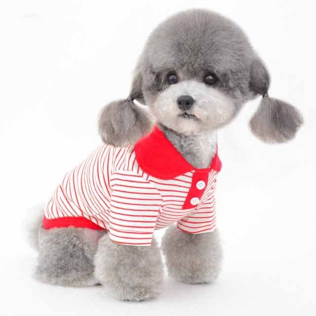 Pets Striped polo shirt Clothes