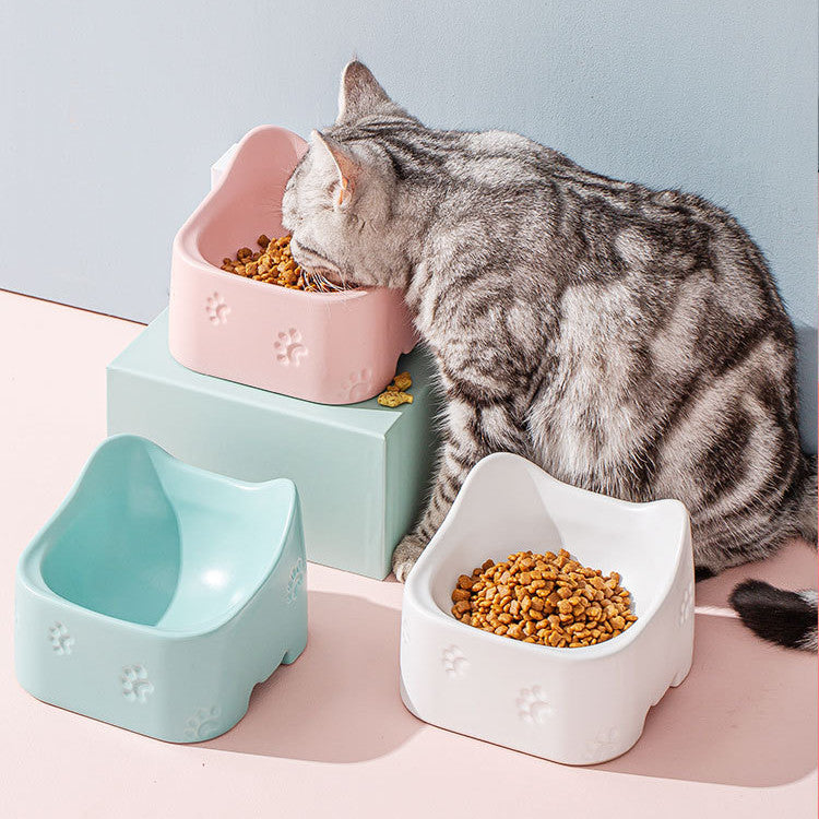 pets Suitable Ceramic Bowl