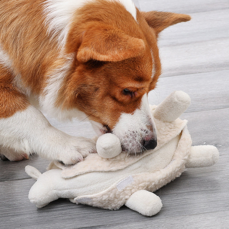 Pet Lambs Train Play Toy