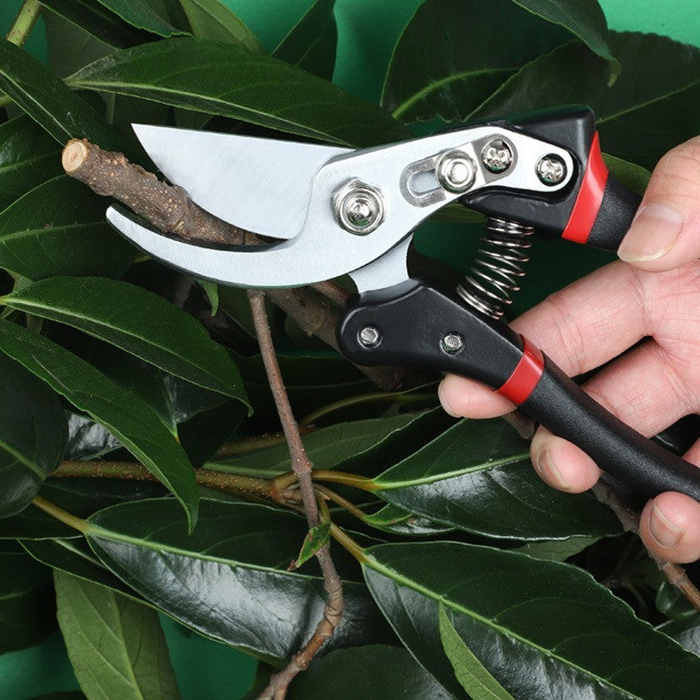 Gardening Twig Fruit Tree Flower Scissors