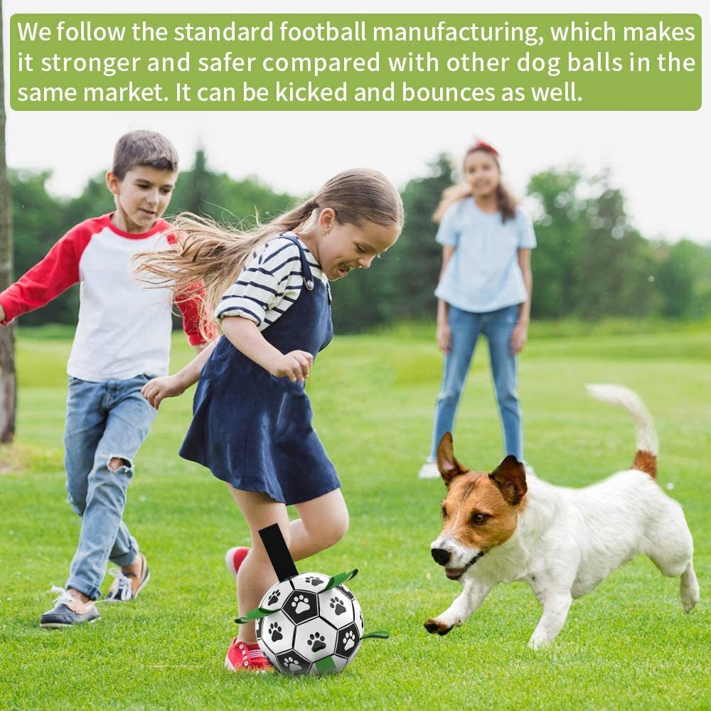 Dog Interactive Football Grab Toy