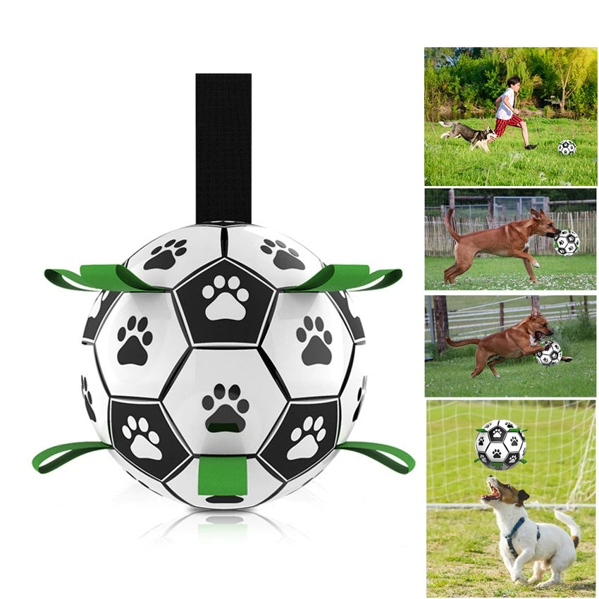 Dog Interactive Football Grab Toy